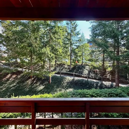 Apartment Chaleureux - Bois Et Montagnes